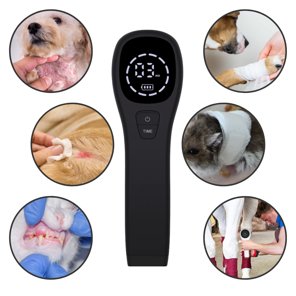  Handheld Infrared Therapy Device for Pet - Excellent for many Cutaneous Problems - Ozerty