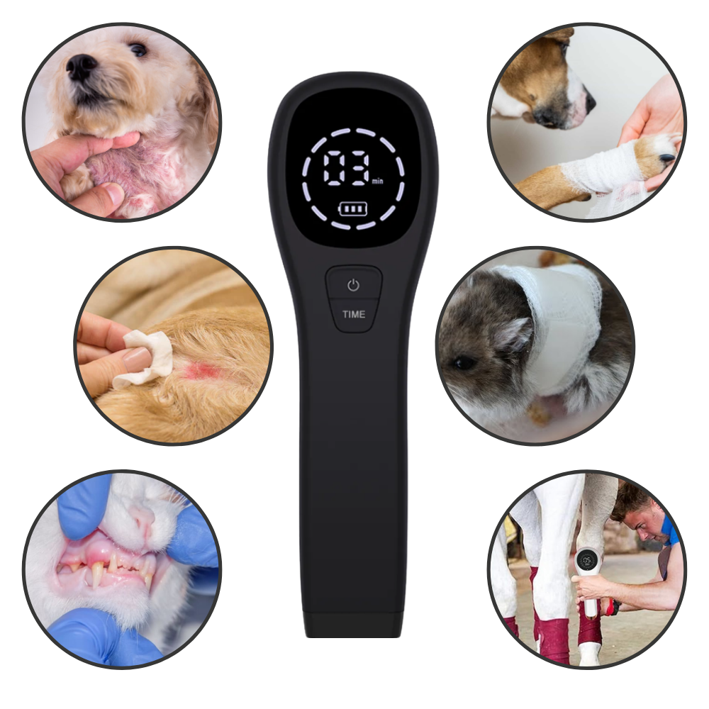 Handheld Infrared Therapy Device for Pet - Excellent for many Cutaneous Problems - Ozerty