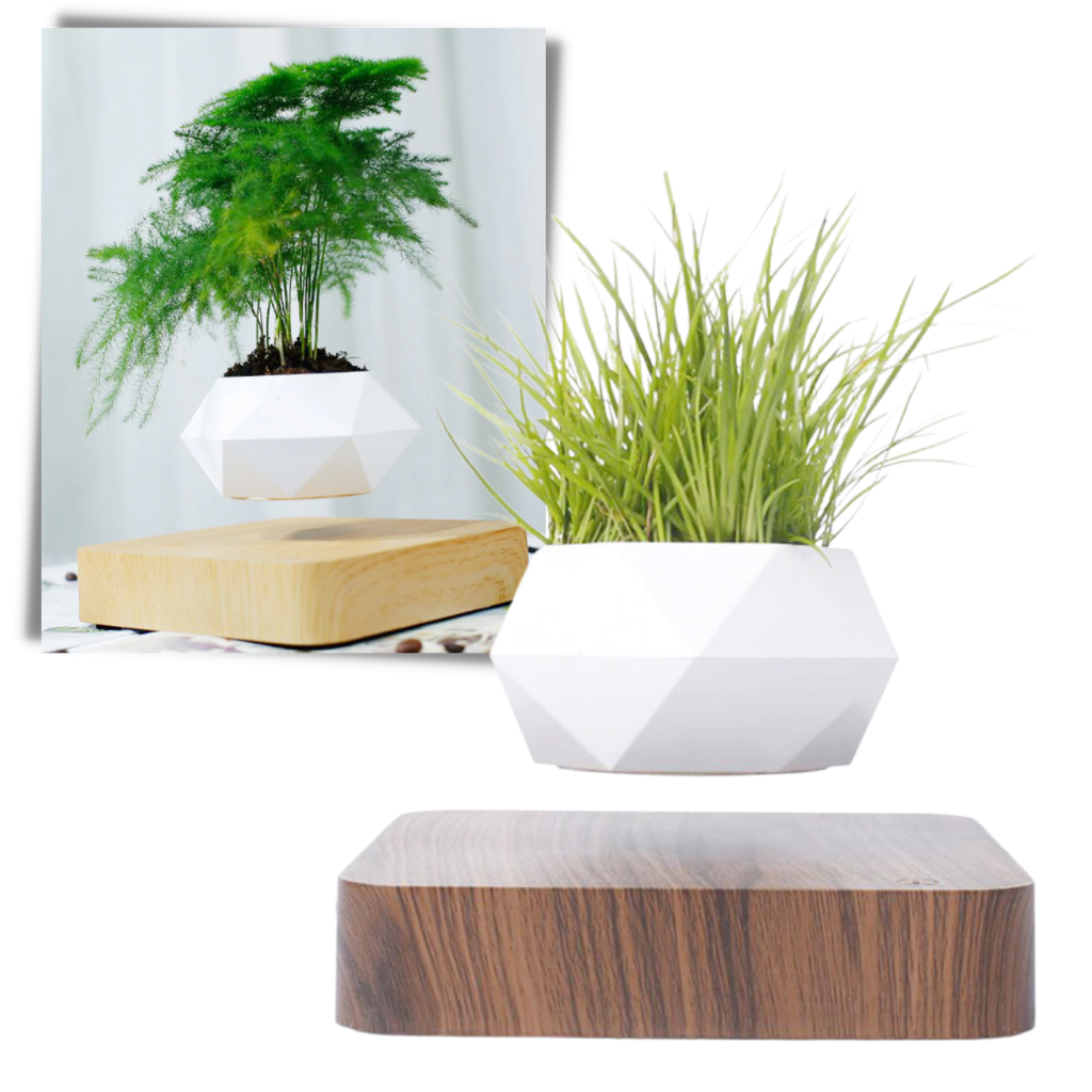 Levitating air plant pot│Magnetic floating plant pot│Suspension floating pot - Ozerty