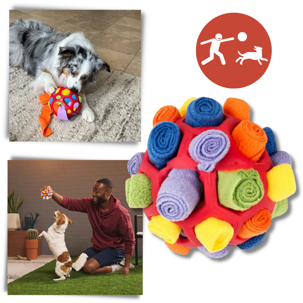 Mental Stimulator Snuffle Ball - Elevate Your Dog's Playtime - Ozerty