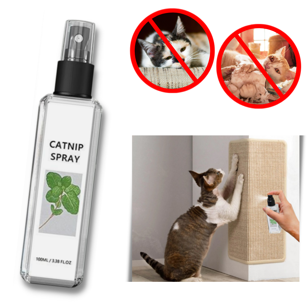 Pure Natural Silvervine For Cats - Unleashing Your Cat's Vitality - Ozerty
