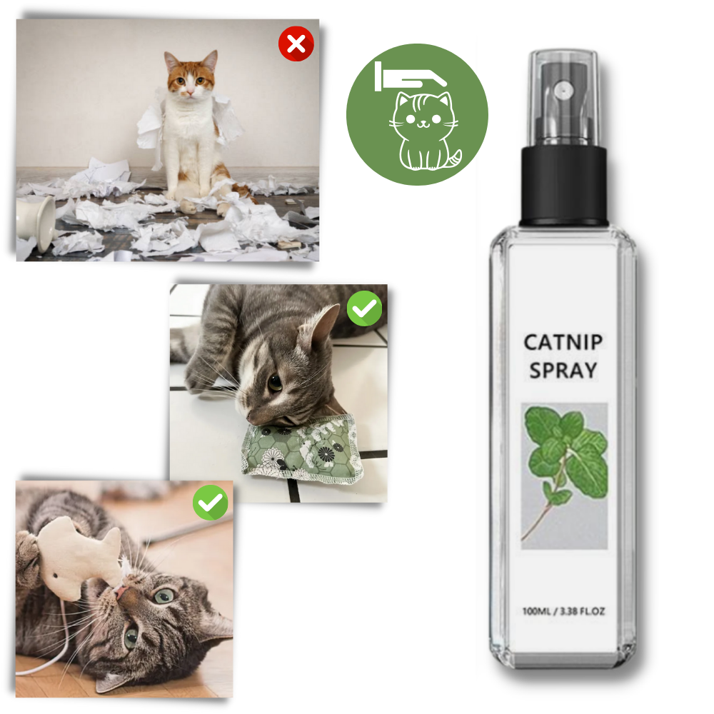 Pure Natural Silvervine For Cats - Mess-Free Enjoyment  - Ozerty