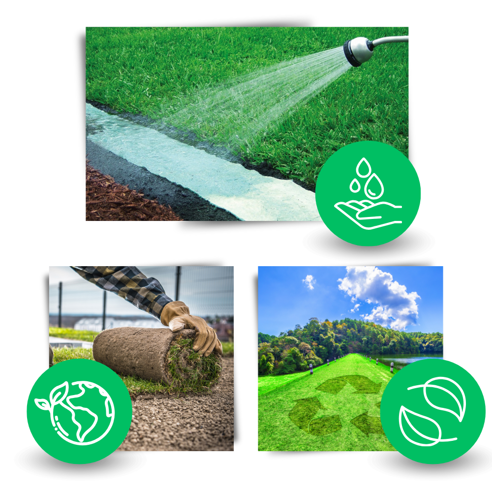 Tappetino di semi di erba verde a fissaggio rapido - Massimizzate l'umidità per un giardinaggio sostenibile - Ozerty