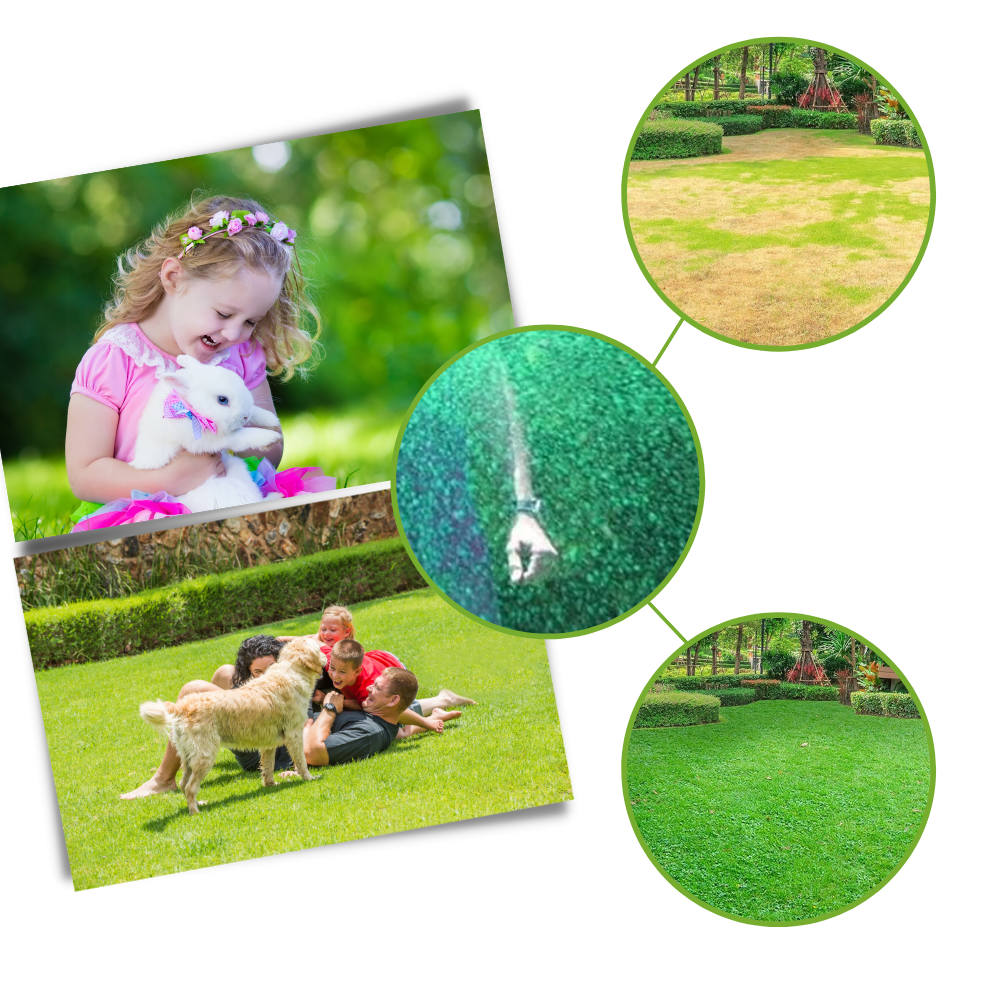 Revitalizing Lawn Grass Spray - Natural Ingredients for a Safe Environment - Ozerty