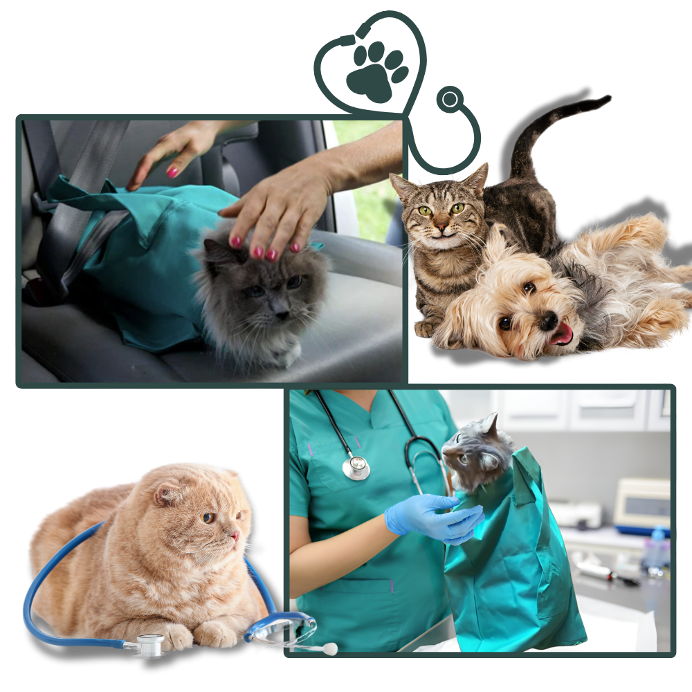 Serene Journey Cat Travel Bag - Seamless Health Checks - Ozerty