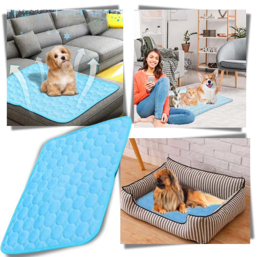 Silk Pet Cooling Pad  - Ozerty