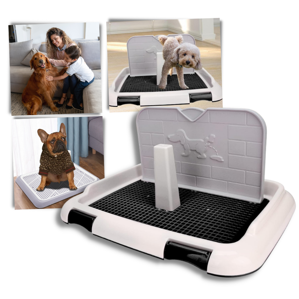 Splash-proof Dog Pee Pads - Ozerty