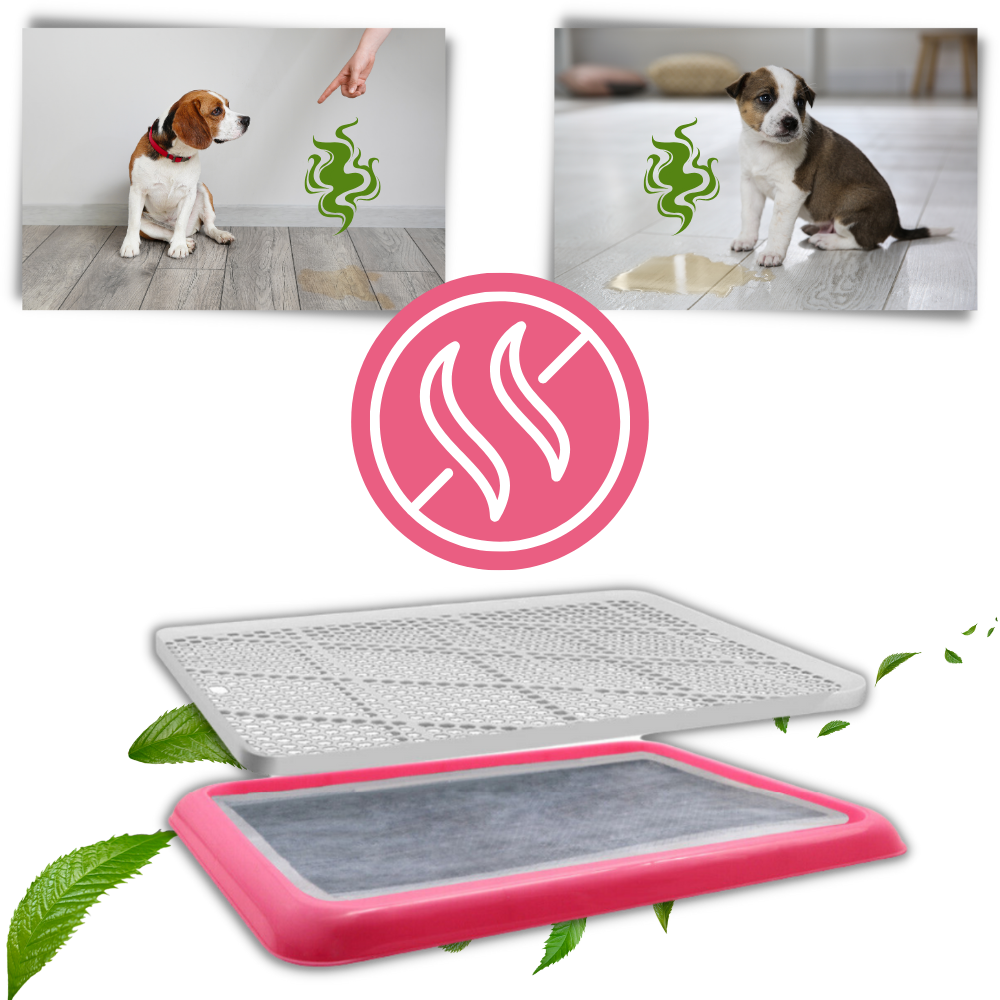 Splash-proof Dog Pee Pads - Advanced Odor Control - Ozerty