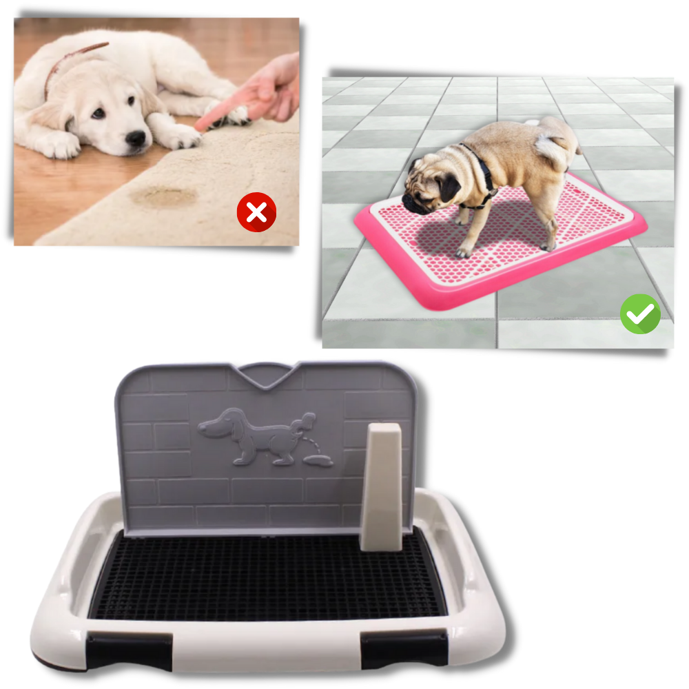 Tapis de propreté pour chien anti-éclaboussures

 - L'apprentissage en toute simplicité

 - Ozerty