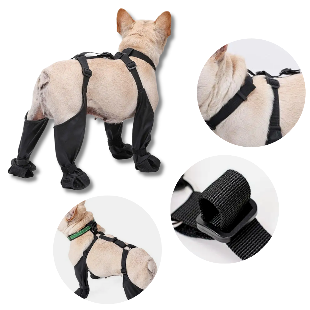Waterproof Dog  Suspenders Boots - Innovative anti-lose feature - Ozerty