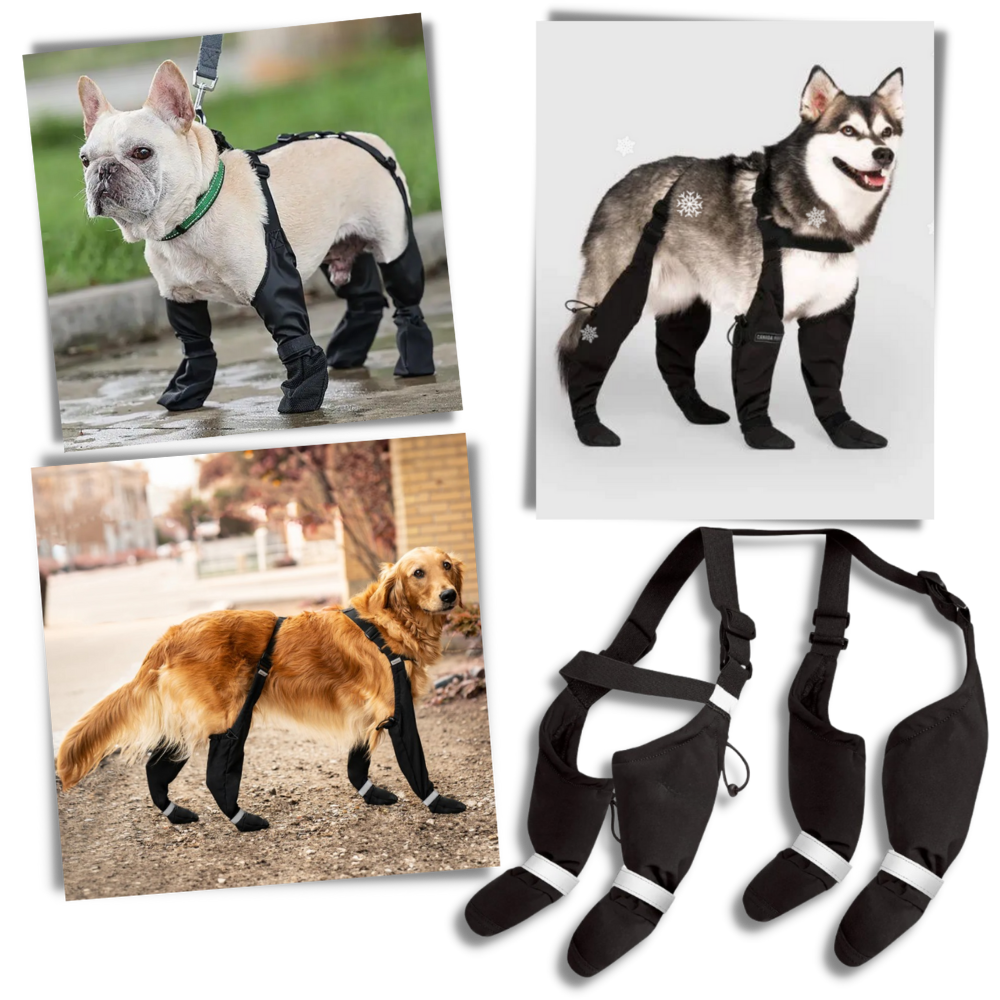 Stivali con bretelle impermeabili per cani - Ozerty