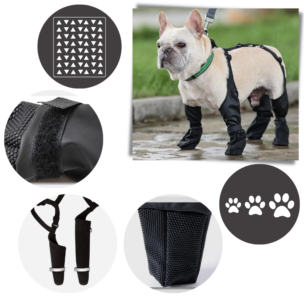 Stivali con bretelle impermeabili per cani - Adattamento personalizzabile per ogni zampa - Ozerty
