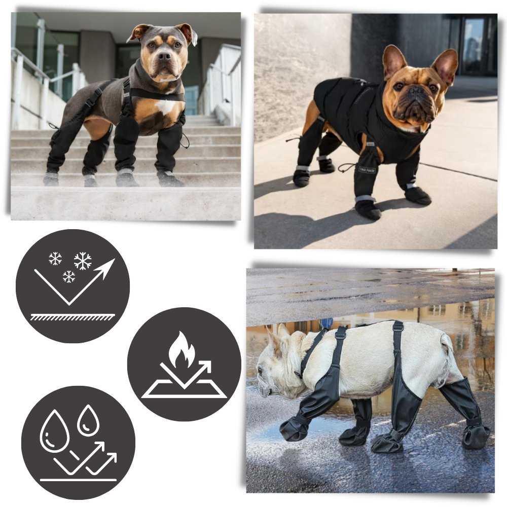 Waterproof Dog  Suspenders Boots - Seasonal Comfort and Protection and Full-Leg Embrace - Ozerty