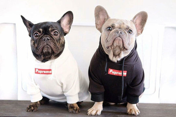 Pupreme Dog Hoodie, Pawfect Pets Club