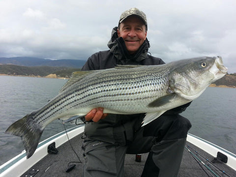 Castaic Lake Striper Bass