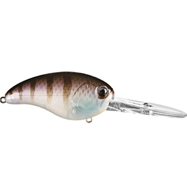 Rat-l Trap Saltwater Fishing Lure in Box -  India