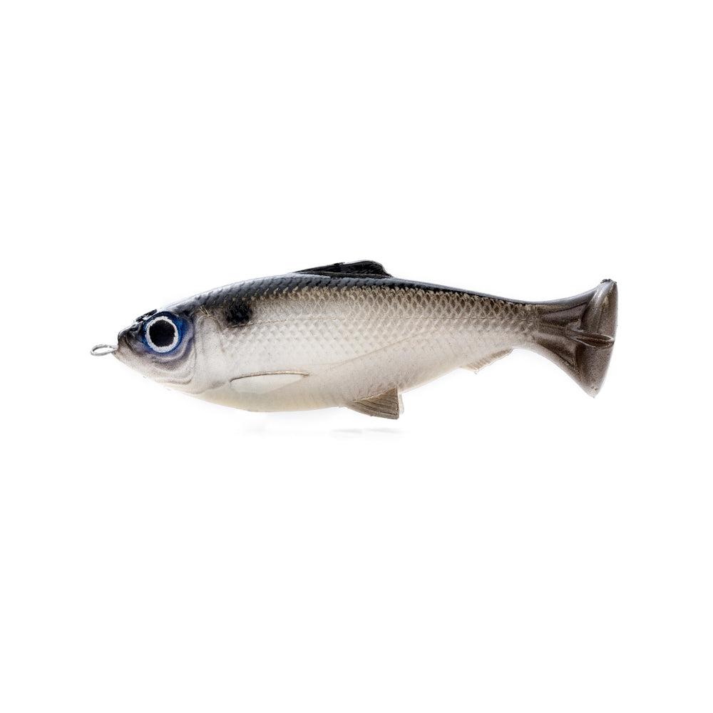  River2Sea S-Waver 200 Swimbait (Rainbow Trout 02) : Sports &  Outdoors