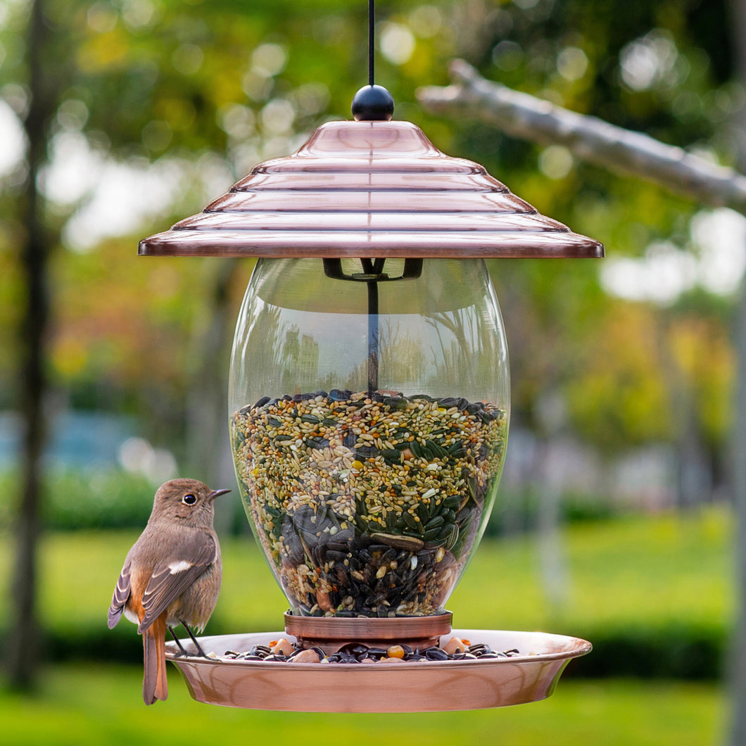 metal seed feeders