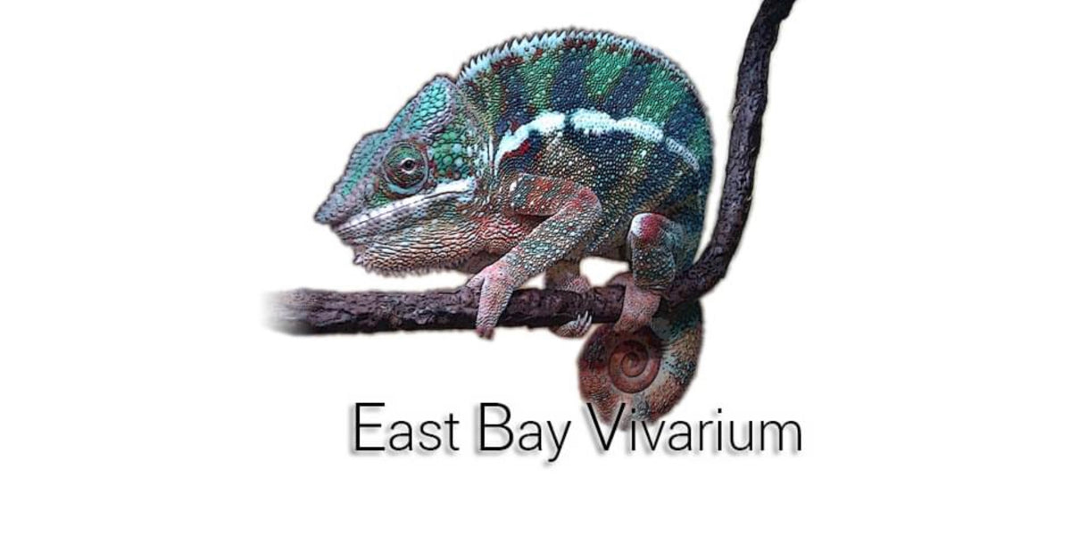 eastbayvivarium.com