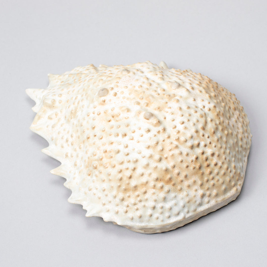 Oceanology Trinket Tableware Spider Crab Bowl - Heting Artelier