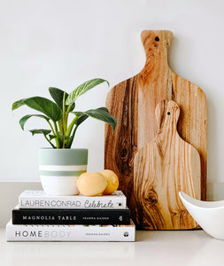 Birkin Philodendron houseplant. houseplants in kitchen. indoor plants decor.