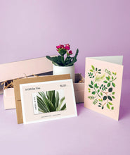 Load image into Gallery viewer, Kalanchoe Gift Card Set