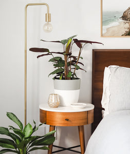 the best plants for your bedroom. nightstand with potted plants.