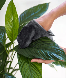 Leaf Care Spray + Microfiber Cloth