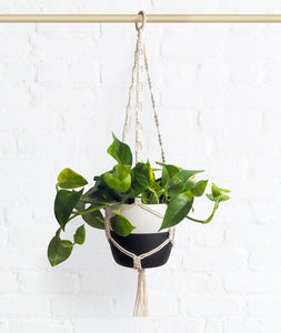 Handcrafted macramé plant hanger for indoor plants and trailing houseplants. Shop online and choose from easy-to-grow houseplants and premium plant care accessories. Free shipping on orders $100+. 