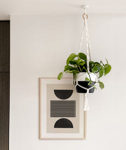 Handcrafted macramé plant hanger for indoor plants and trailing houseplants. Shop online and choose from easy-to-grow houseplants and premium plant care accessories. Free shipping on orders $100+. 