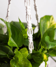 Load image into Gallery viewer, Macramé Plant Hanger