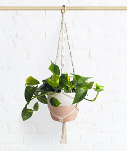 Macramé Hanger + Pot