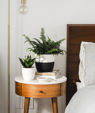 Load image into Gallery viewer, the best plants for your bedroom. nightstand with potted plants.