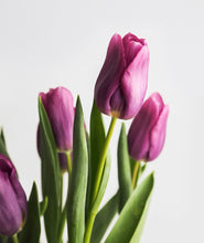 Load image into Gallery viewer, Tulips