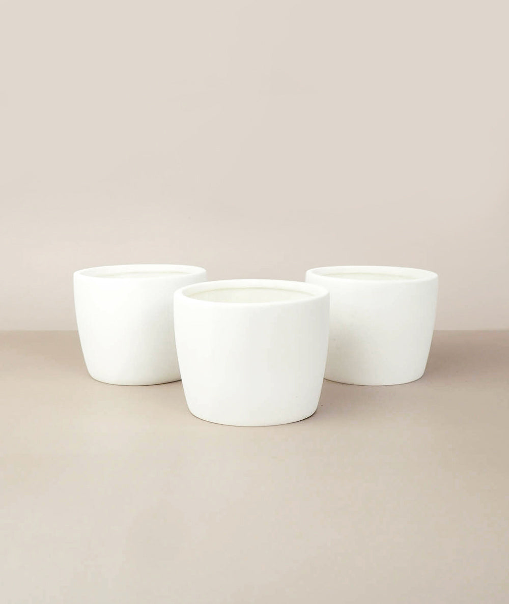 Mini Hayes Pot Trio, White