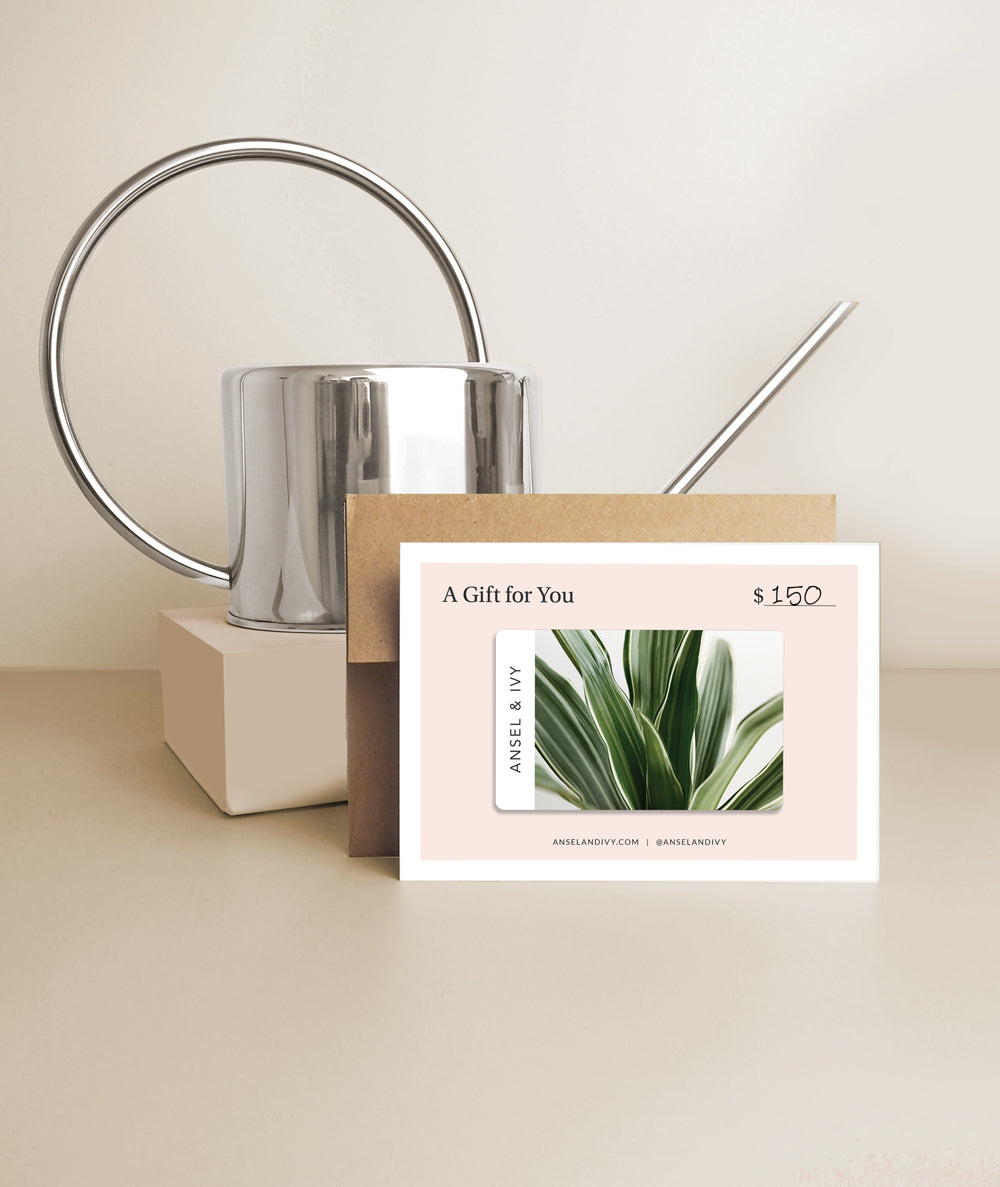 Physical Gift Card Set - Ansel & Ivy