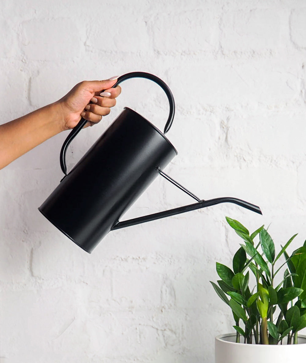 Rocky Mt Watering Can