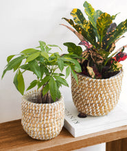 Load image into Gallery viewer, Boho natural basket planter for indoor plants. Woven seagrass basket plant pot with natural textures and neutral tones. 