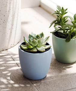 Small Periwinkle Pot