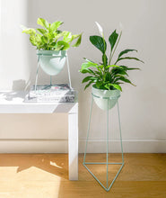 Load image into Gallery viewer, Soma Plant Stand Set