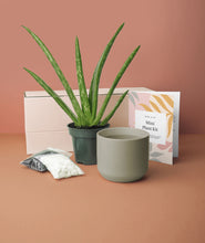 Load image into Gallery viewer, Aloe vera plant. Succulent gift set. This Mini Plant Kit comes in our signature gift box. Shop online and choose from pet-friendly, air-purifying, and easy-to-grow houseplants and gift sets. The perfect gift for plant lovers.