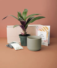 Load image into Gallery viewer, Mini Oyster Plant Kit