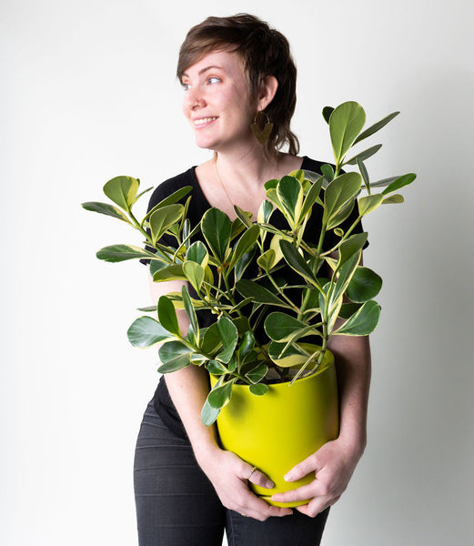 Owner of Planted., Laura Klavitter