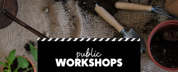 Public Workshops at Planted. in Dubuque