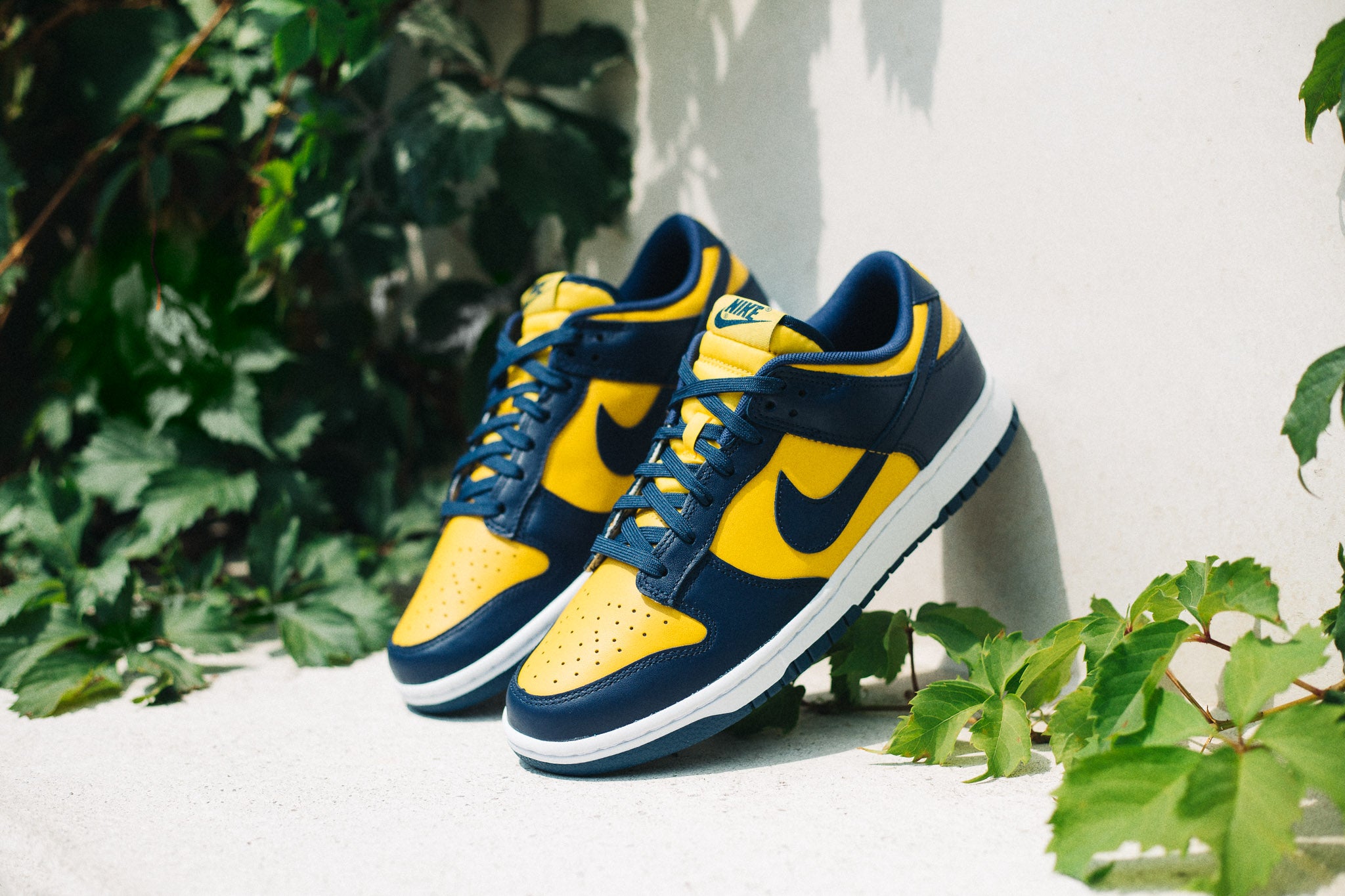 Nike Men's Dunk Low Retro 