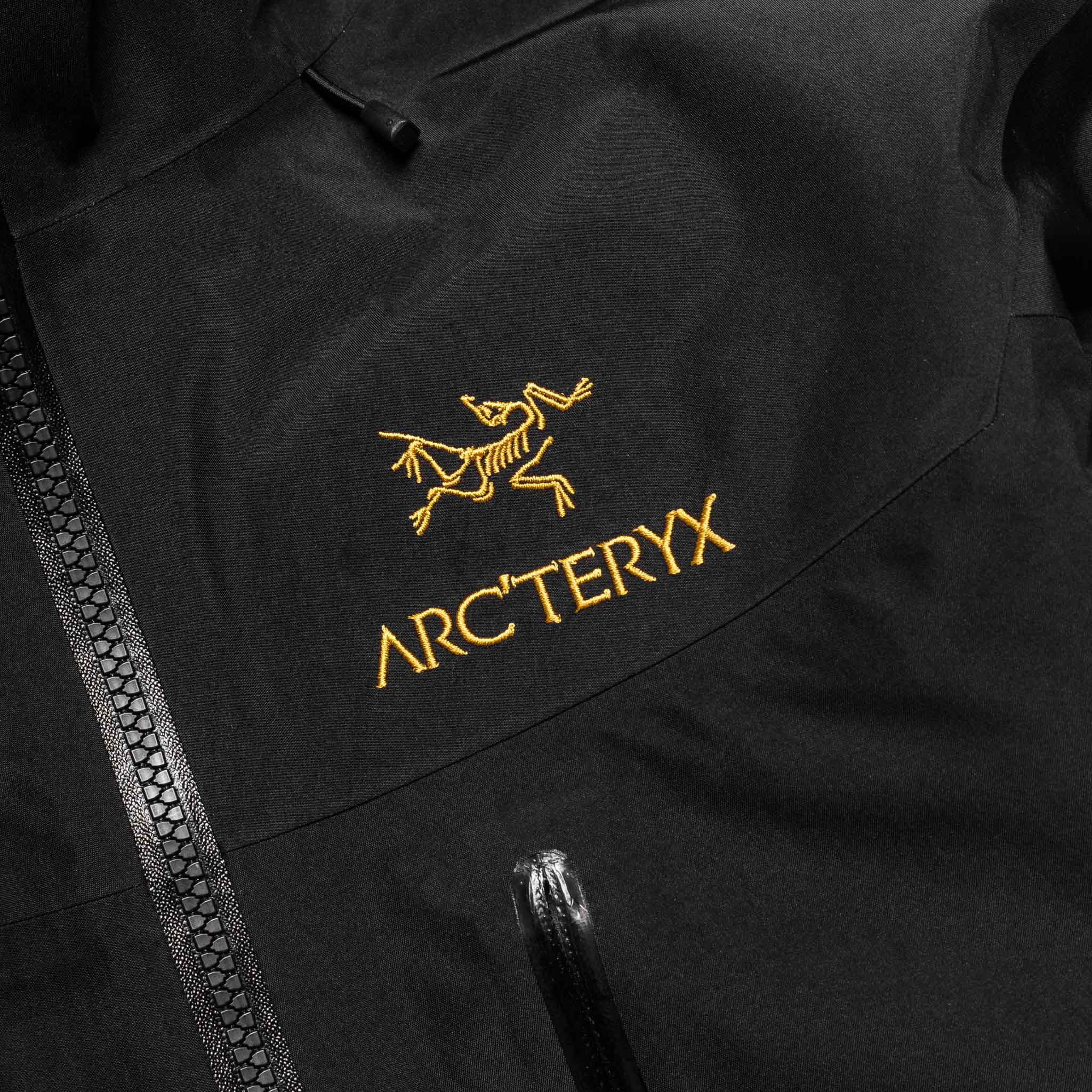 本命ギフト ARC'TERYX マウンテンパーカー アルファSV 24kblack xs