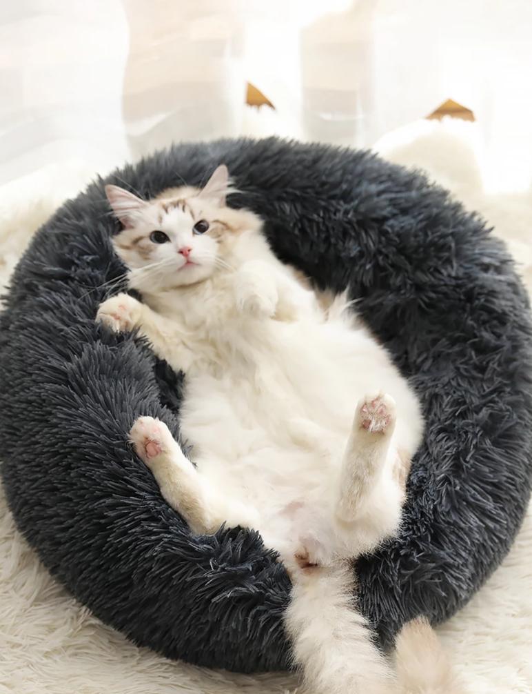 calming bed for cats