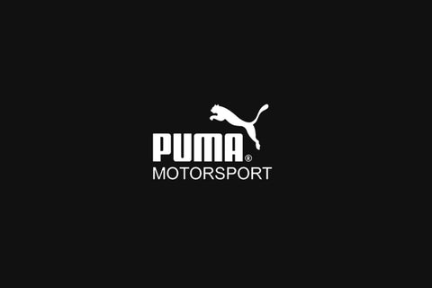 Puma_Dicons