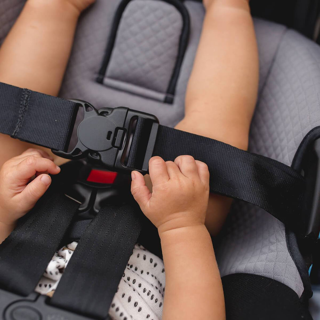 mountain buggy nano duo car seat compatibility