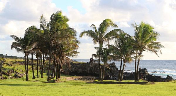 Ile de Paques Anakena